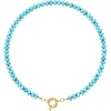 Turquoise Green